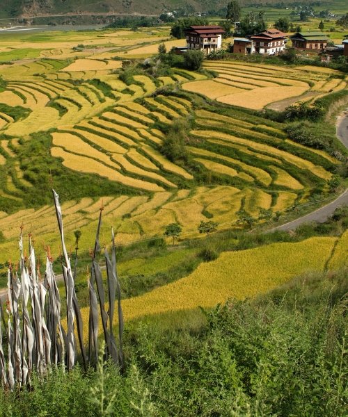 Bhutan Village