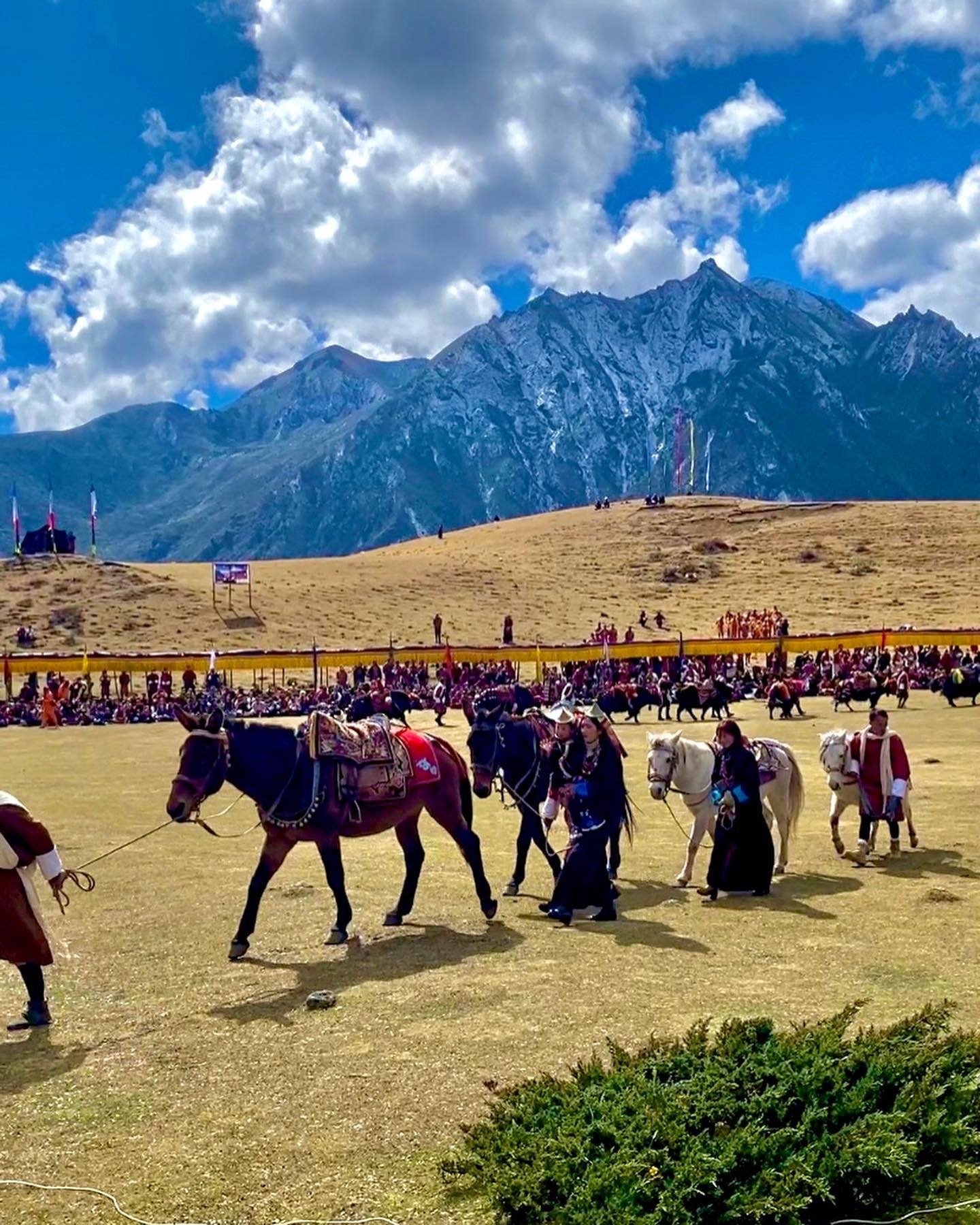 Horseriding in Bhutan2