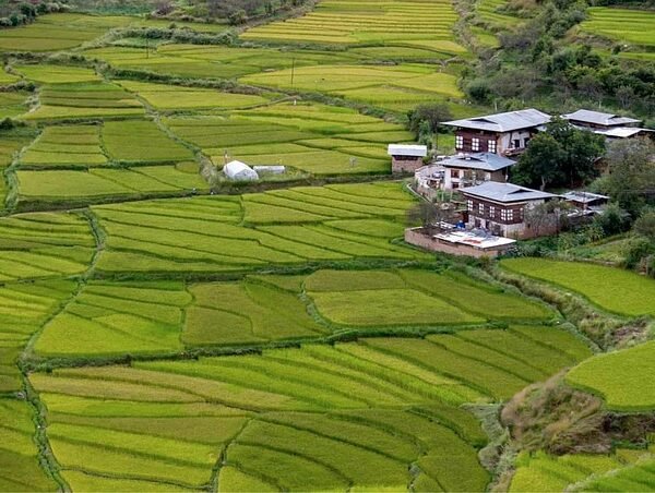 fields, houses, village, bhutan, bhutan, bhutan, bhutan, bhutan, bhutan